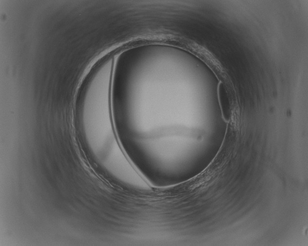 X0000081470724200701121015