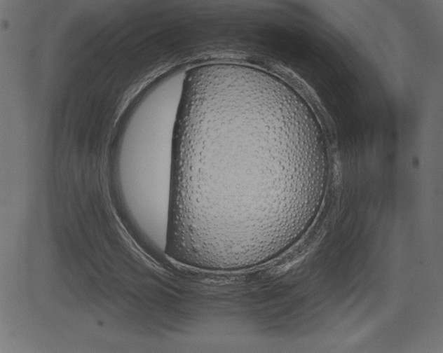 X0000081470725200701121015