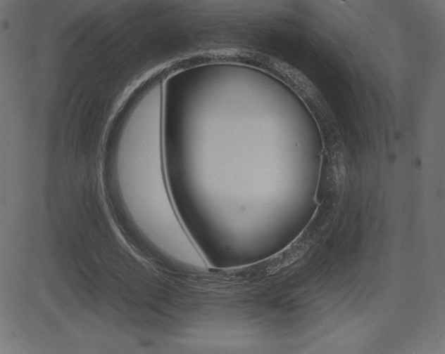 X0000081470728200701121015