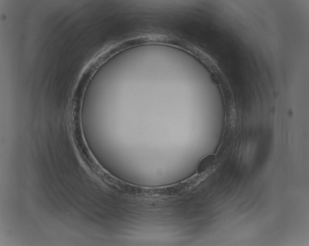 X0000081470730200701121015
