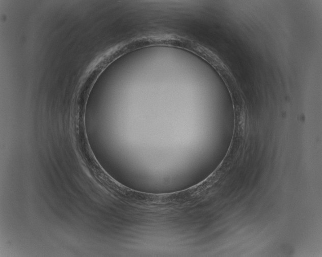 X0000081470732200701121015