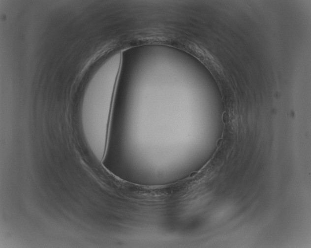 X0000081470735200701121015