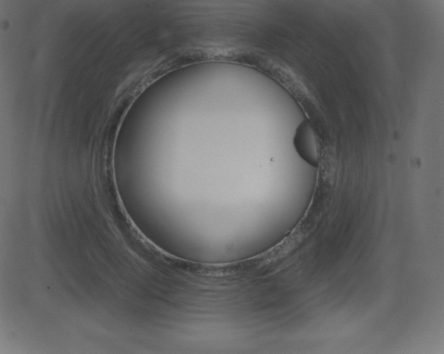 X0000081470740200701121015