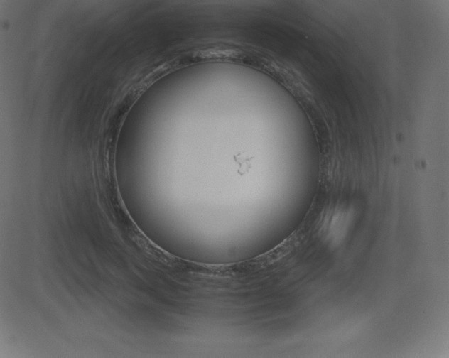 X0000081470743200701121015