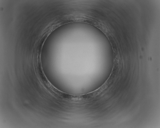 X0000081470744200701121015