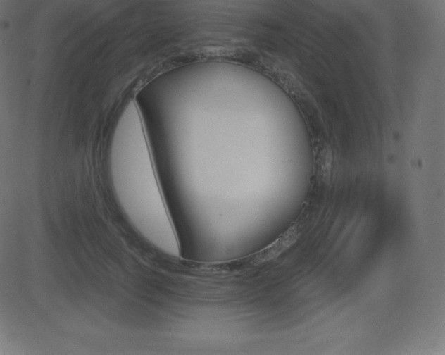 X0000081470746200701121015
