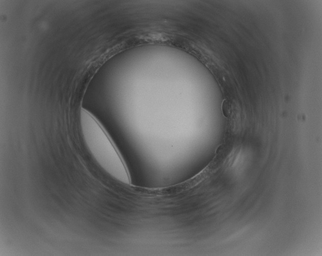 X0000081470747200701121015
