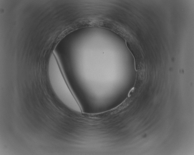 X0000081470748200701121015