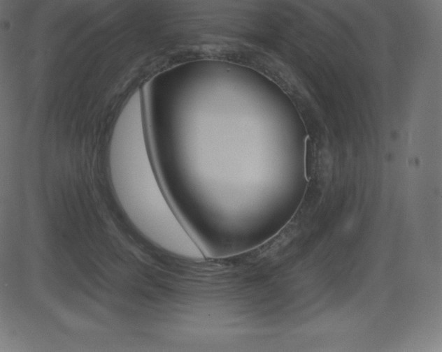 X0000081470750200701121015