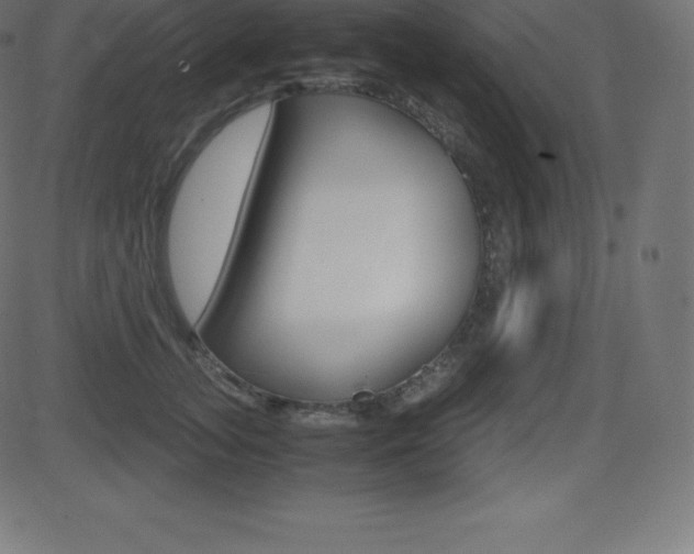 X0000081470755200701121015