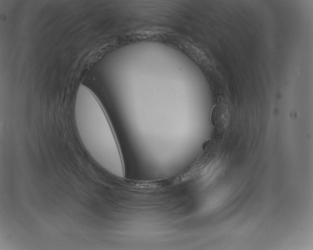 X0000081470758200701121015