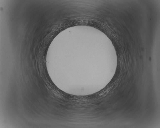 X0000081470769200701121015