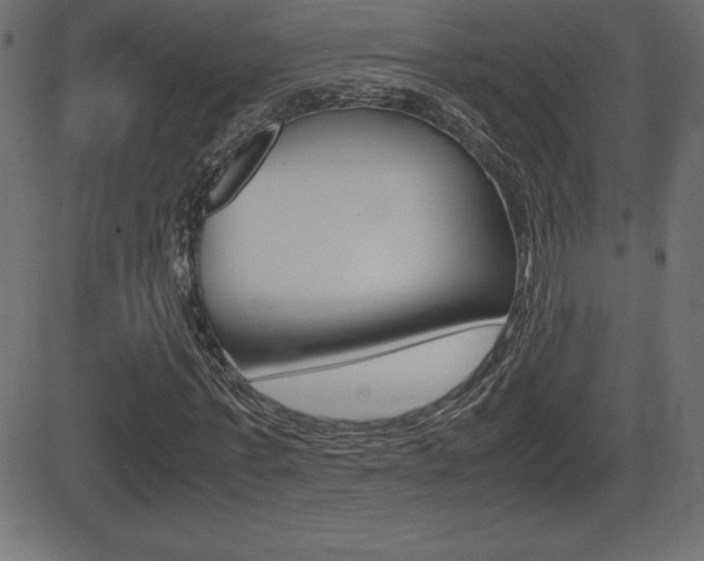 X0000081470771200701121015
