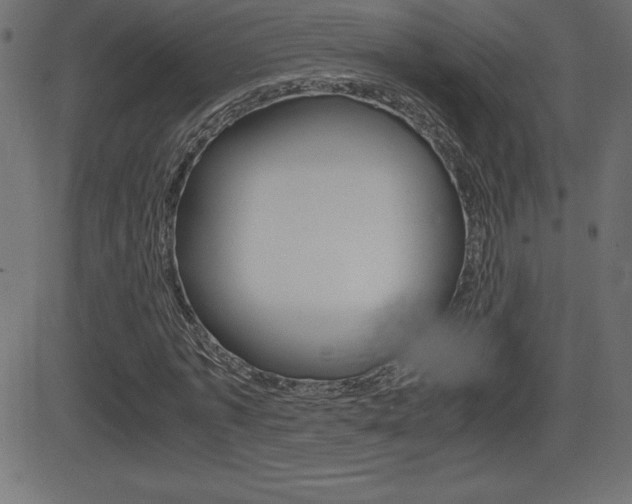 X0000081470773200701121015