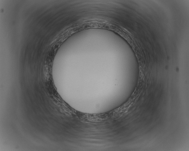 X0000081470774200701121015