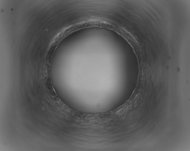 X0000081470776200701121015