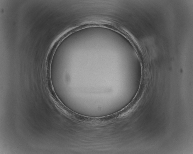 X0000081470779200701121014