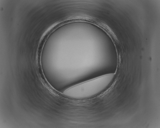 X0000081470780200701121014