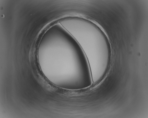 X0000081470783200701121014
