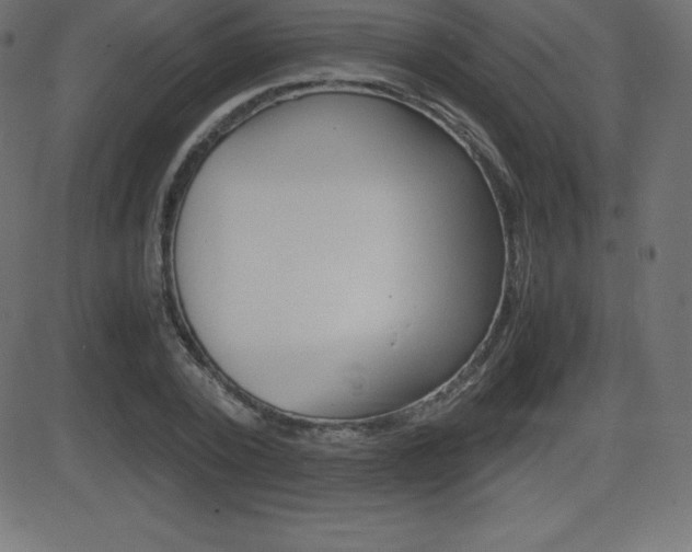 X0000081470784200701121014