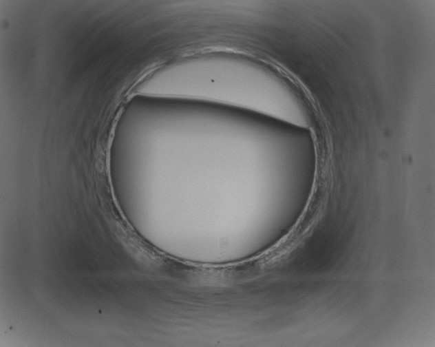 X0000081470785200701121014