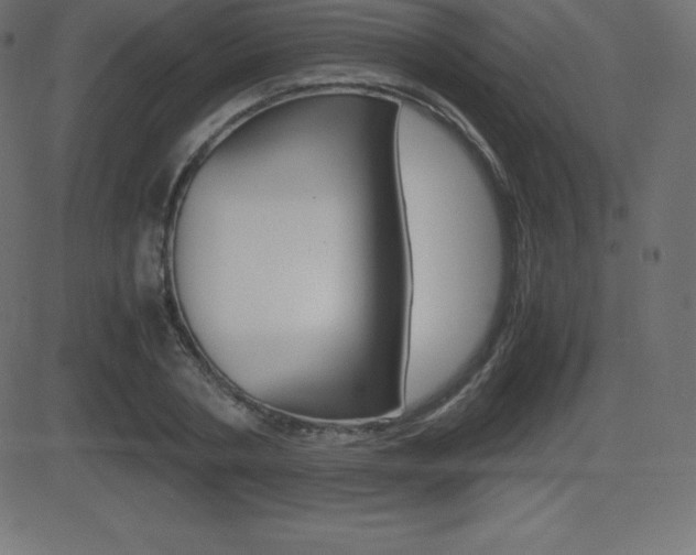 X0000081470786200701121014