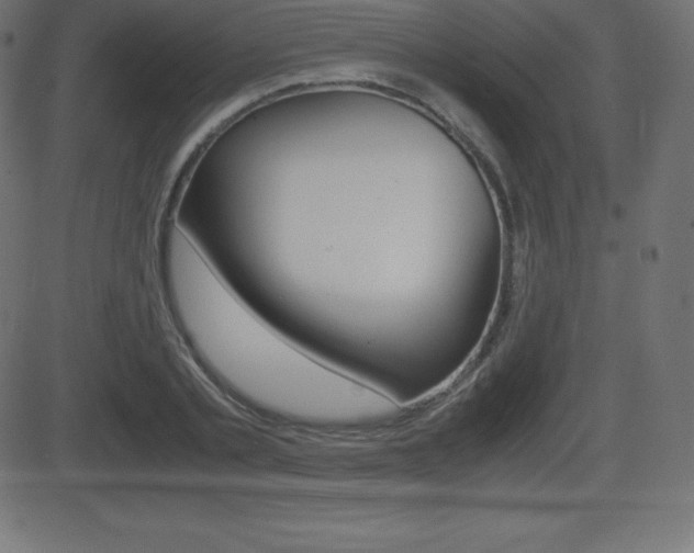 X0000081470789200701121014