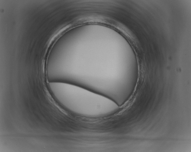 X0000081470790200701121014