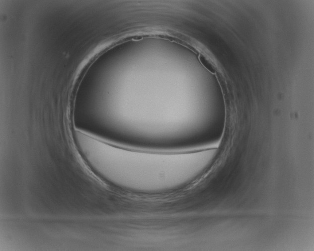 X0000081470797200701121014