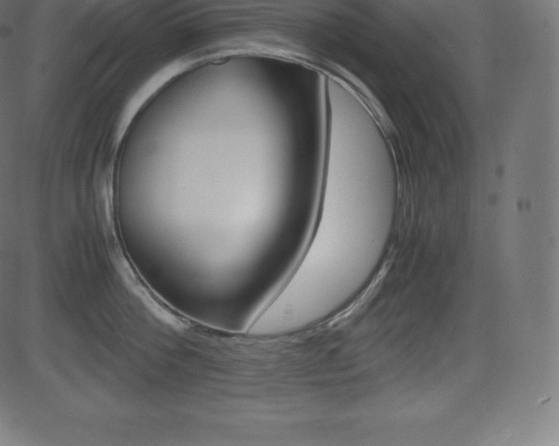 X0000081470812200701121014