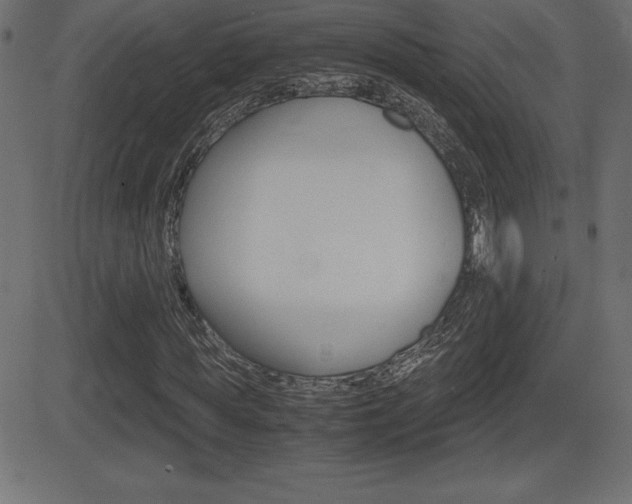 X0000081470819200701121013