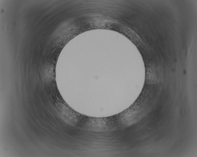 X0000081470820200701121013