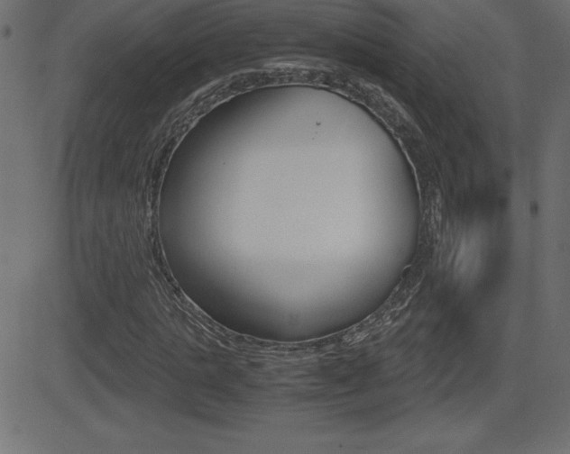 X0000081470821200701121013