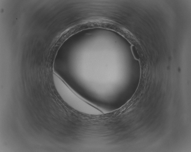 X0000081470822200701121013