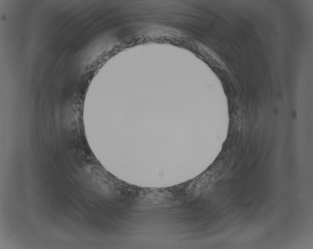 X0000081470824200701121013