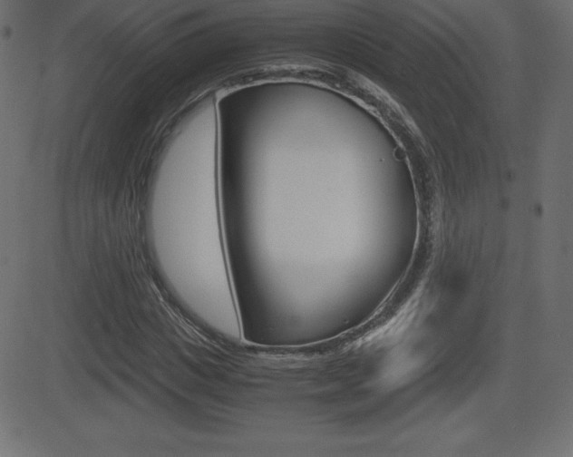 X0000081470825200701121013