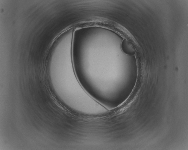 X0000081470826200701121013