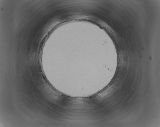 X0000081470828200701121013