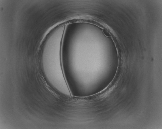 X0000081470830200701121013