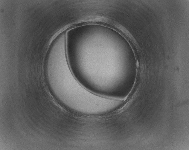 X0000081470834200701121013