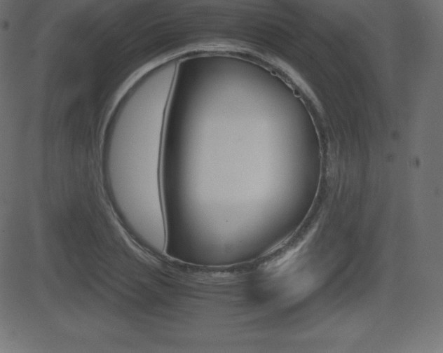 X0000081470837200701121013