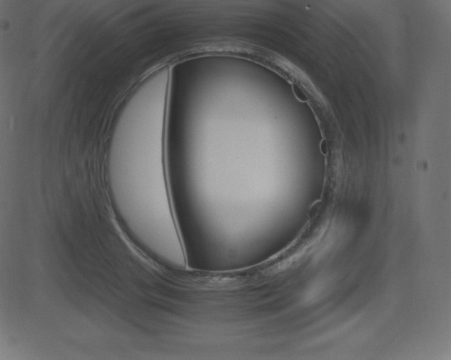 X0000081470841200701121013