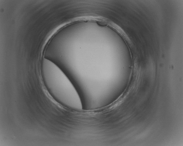 X0000081470844200701121014