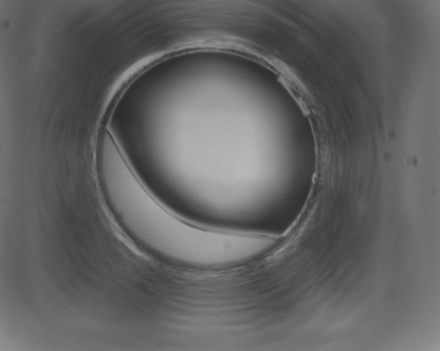 X0000081470846200701121014