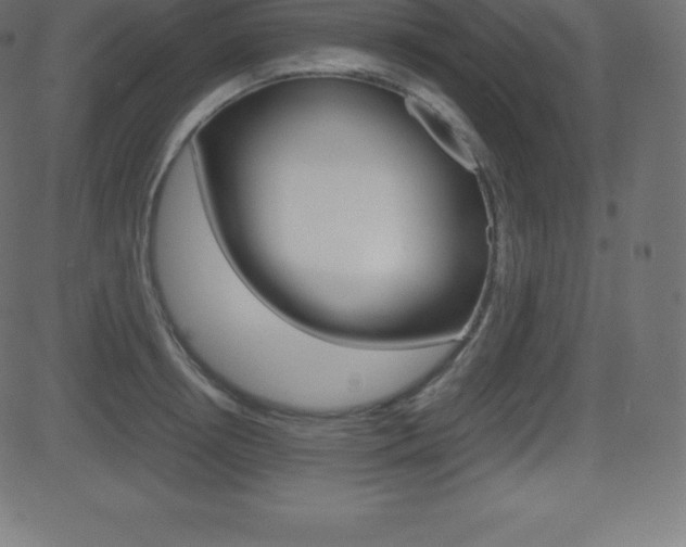 X0000081470850200701121014