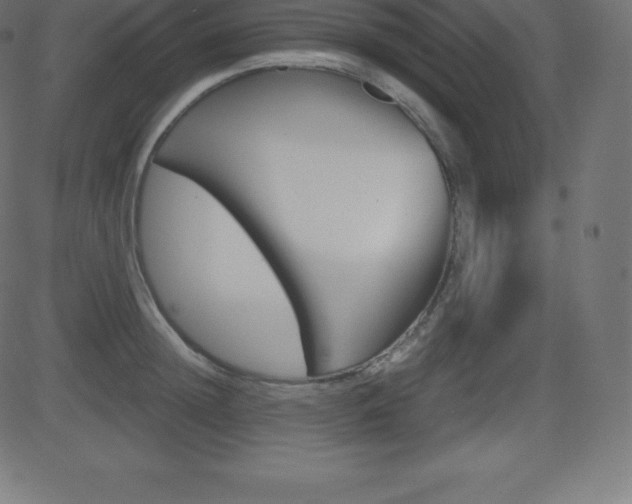 X0000081470852200701121014