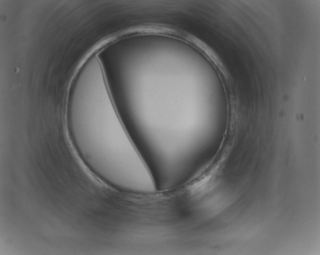 X0000081470853200701121014
