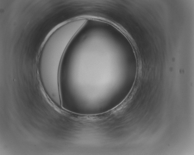 X0000081470862200701121014