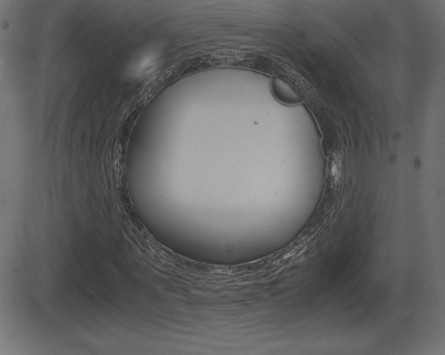 X0000081470867200701121013