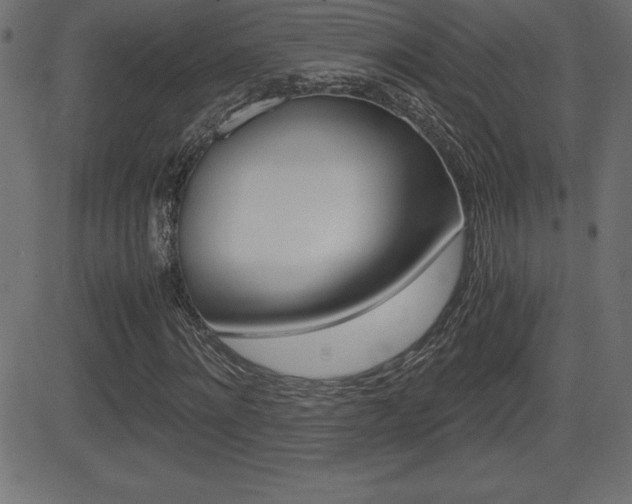 X0000081470868200701121013